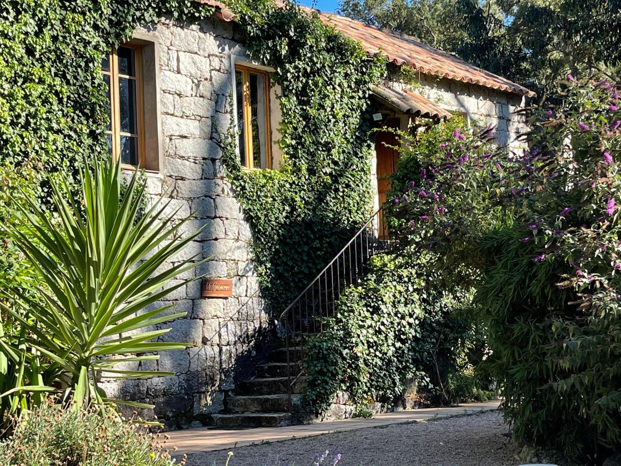 Chambres D'Hotes Barraconu Porto-Vecchio  Luaran gambar